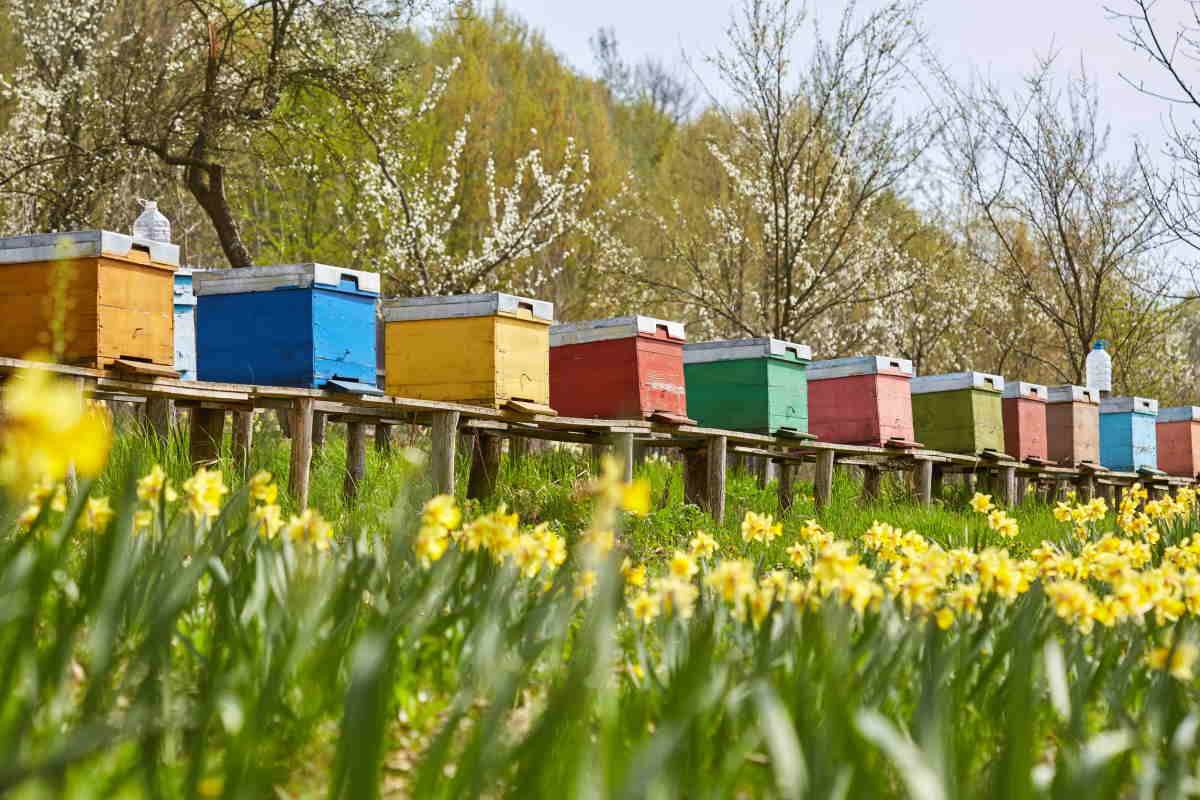 Corsi in ambito ambiente e agricoltura