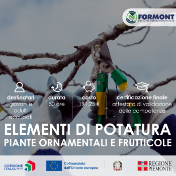 Elementi di Potatura