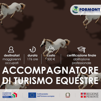 Accompagnatore di Turismo Equestre
