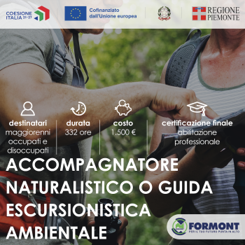 Screenshot 2025-07-18 alle 11.05.44